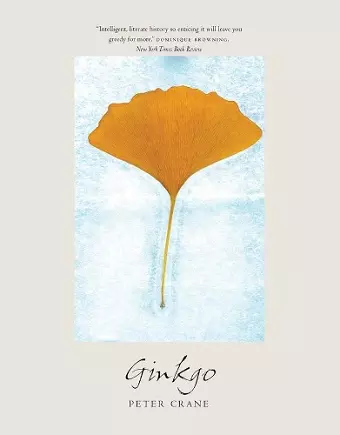 Ginkgo cover