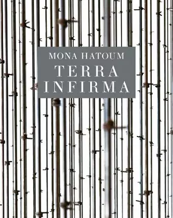 Mona Hatoum cover