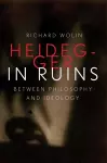 Heidegger in Ruins cover