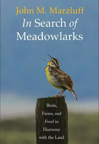 In Search of Meadowlarks cover