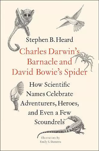 Charles Darwin's Barnacle and David Bowie's Spider cover