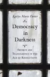 Democracy in Darkness cover