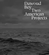 Dawoud Bey cover