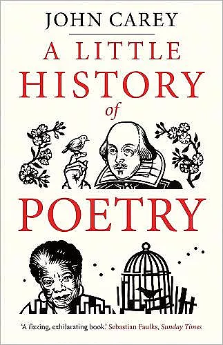 A Little History of Poetry cover