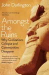 Amongst the Ruins cover