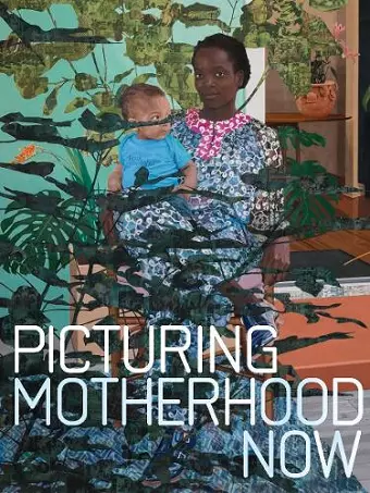 Picturing Motherhood Now cover