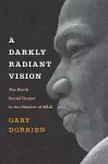 A Darkly Radiant Vision cover