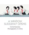 A Window Suddenly Opens cover