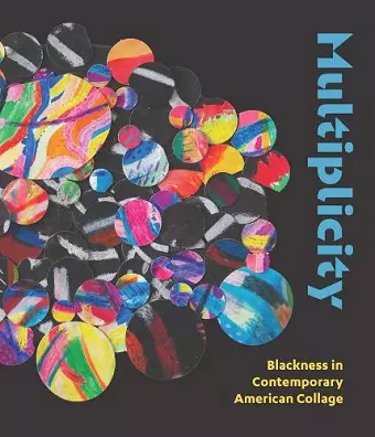 Multiplicity cover