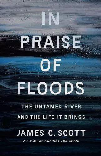 In Praise of Floods cover