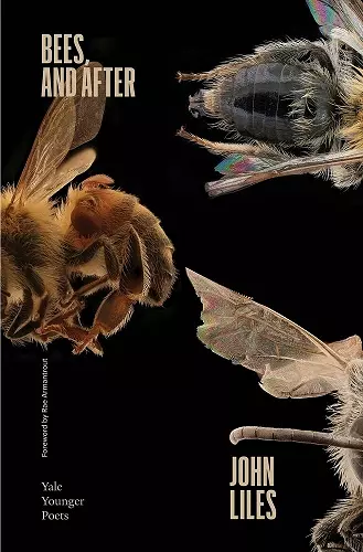 Bees, and After cover