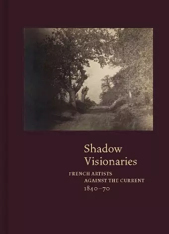 Shadow Visionaries cover