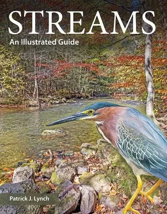 Streams cover