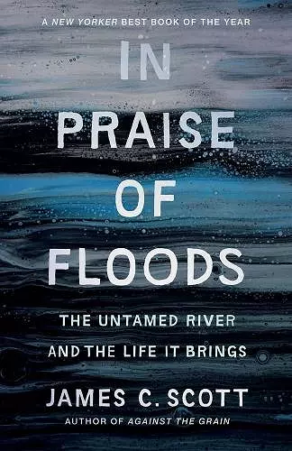 In Praise of Floods cover