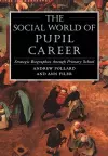The Social World of Pupil Career cover
