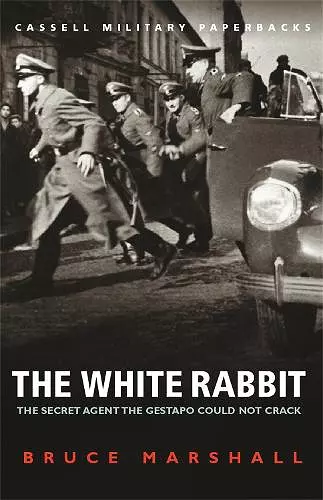 The White Rabbit cover