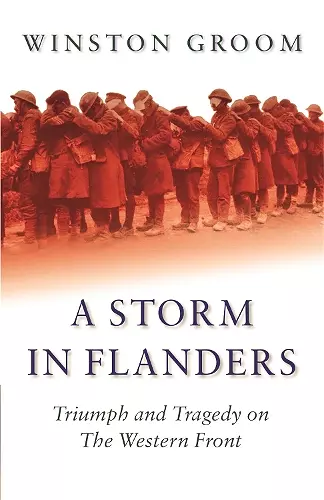 A Storm in Flanders cover