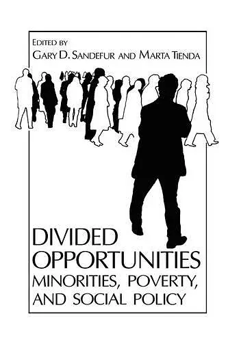 Divided Opportunities: Minorities, Poverty and Social Policy cover