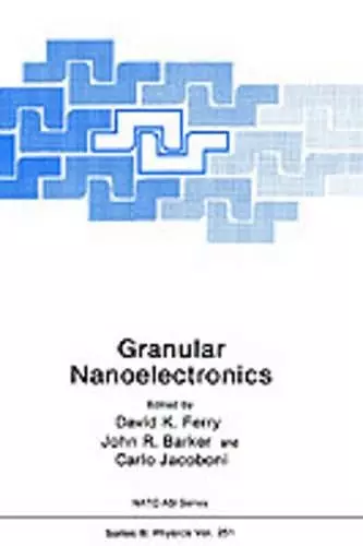 Granular Nanoelectronics cover