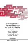 Developmental Neuropathology of Schizophrenia cover