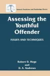 Assessing the Youthful Offender cover