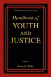 Handbook of Youth and Justice cover