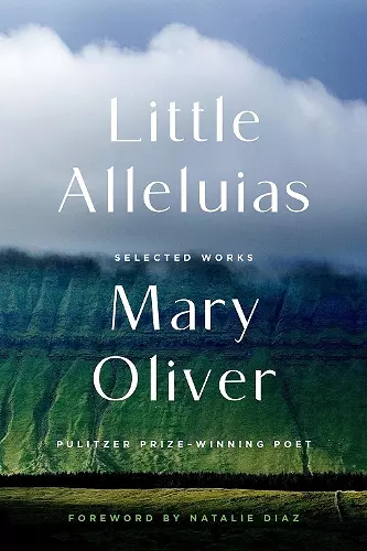 Little Alleluias cover