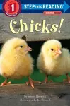 Chicks! cover