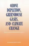 Ozone Depletion, Greenhouse Gases, and Climate Change cover