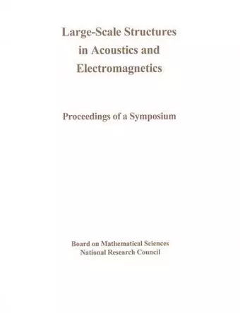 Large-Scale Structures in Acoustics and Electromagnetics cover