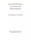 Large-Scale Structures in Acoustics and Electromagnetics cover