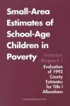 Small-Area Estimates of School-Age Children in Poverty cover