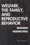 Welfare, the Family, and Reproductive Behavior cover