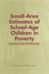 Small-Area Estimates of School-Age Children in Poverty cover