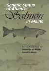 Genetic Status of Atlantic Salmon in Maine cover