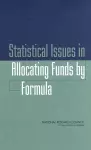 Statistical Issues in Allocating Funds by Formula cover