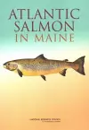 Atlantic Salmon in Maine cover