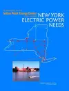 Alternatives to the Indian Point Energy Center for Meeting New York Electric Power Needs cover