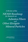 A Review of the NIOSH Roadmap for Research on Asbestos Fibers and Other Elongate Mineral Particles cover