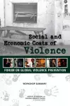 Social and Economic Costs of Violence cover