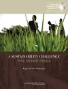 A Sustainability Challenge cover