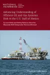 Advancing Understanding of Offshore Oil and Gas Systemic Risk in the U.S. Gulf of Mexico cover