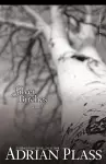 Silver Birches cover