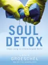 Soul Detox cover