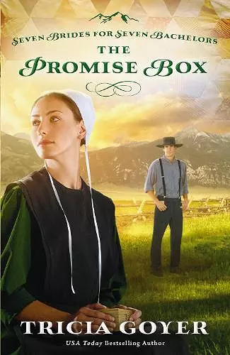 The Promise Box cover