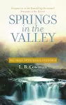 Springs in the Valley cover