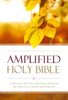 Amplified Outreach Bible, Paperback cover