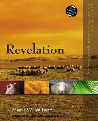 Revelation cover
