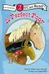 A Perfect Pony cover