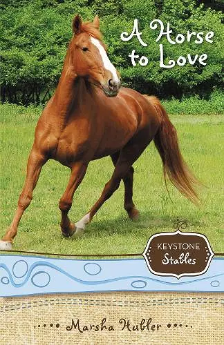 A Horse to Love cover